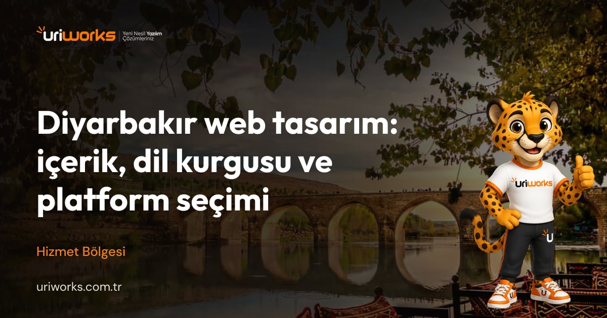 Diyarbakır web tasarım: içerik, dil kurgusu ve platform seçimi