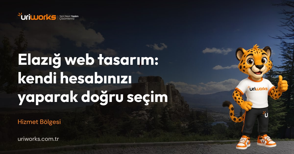 Elazığ web tasarım: kendi hesabınızı yaparak doğru seçim