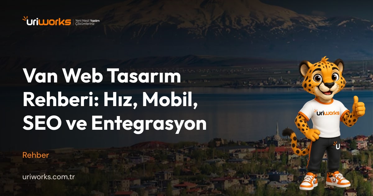 Van web tasarım: site mi, web uygulaması mı, ne zaman gerekir?