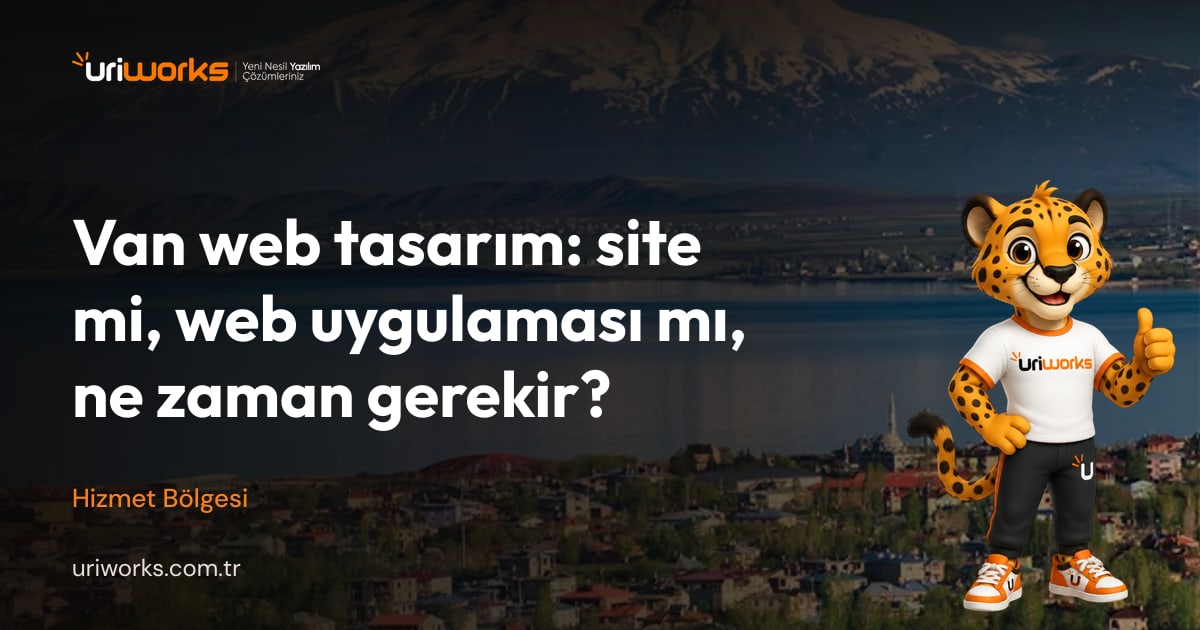 Van web tasarım: site mi, web uygulaması mı, ne zaman gerekir?